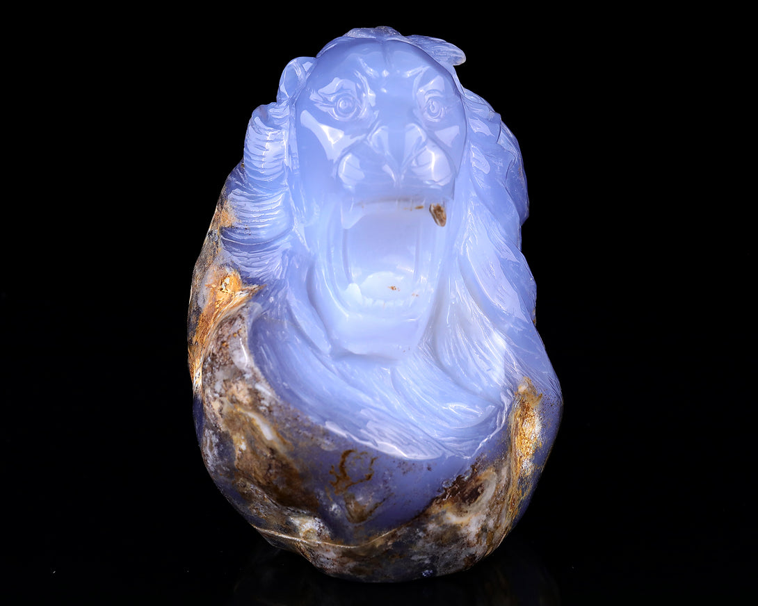 Amazing 6.7" Blue Chalcedony Hand Carved Crystal Lion Head Sculpture crysvibe