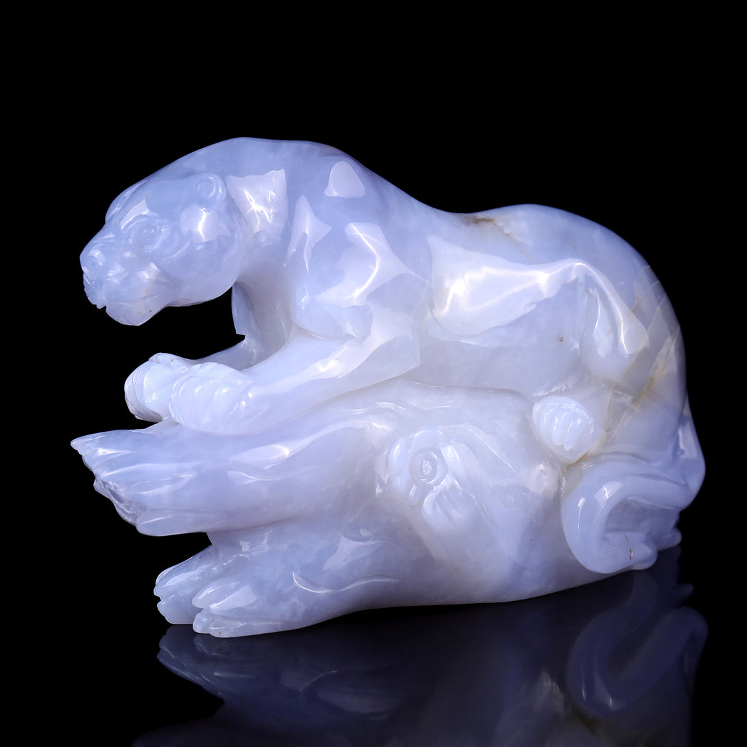 Amazing 7.1" Blue Chalcedony Hand Carved Crystal Leopard Sculpture crysvibe