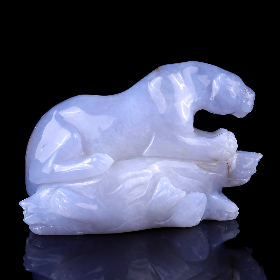 Amazing 7.1" Blue Chalcedony Hand Carved Crystal Leopard Sculpture crysvibe