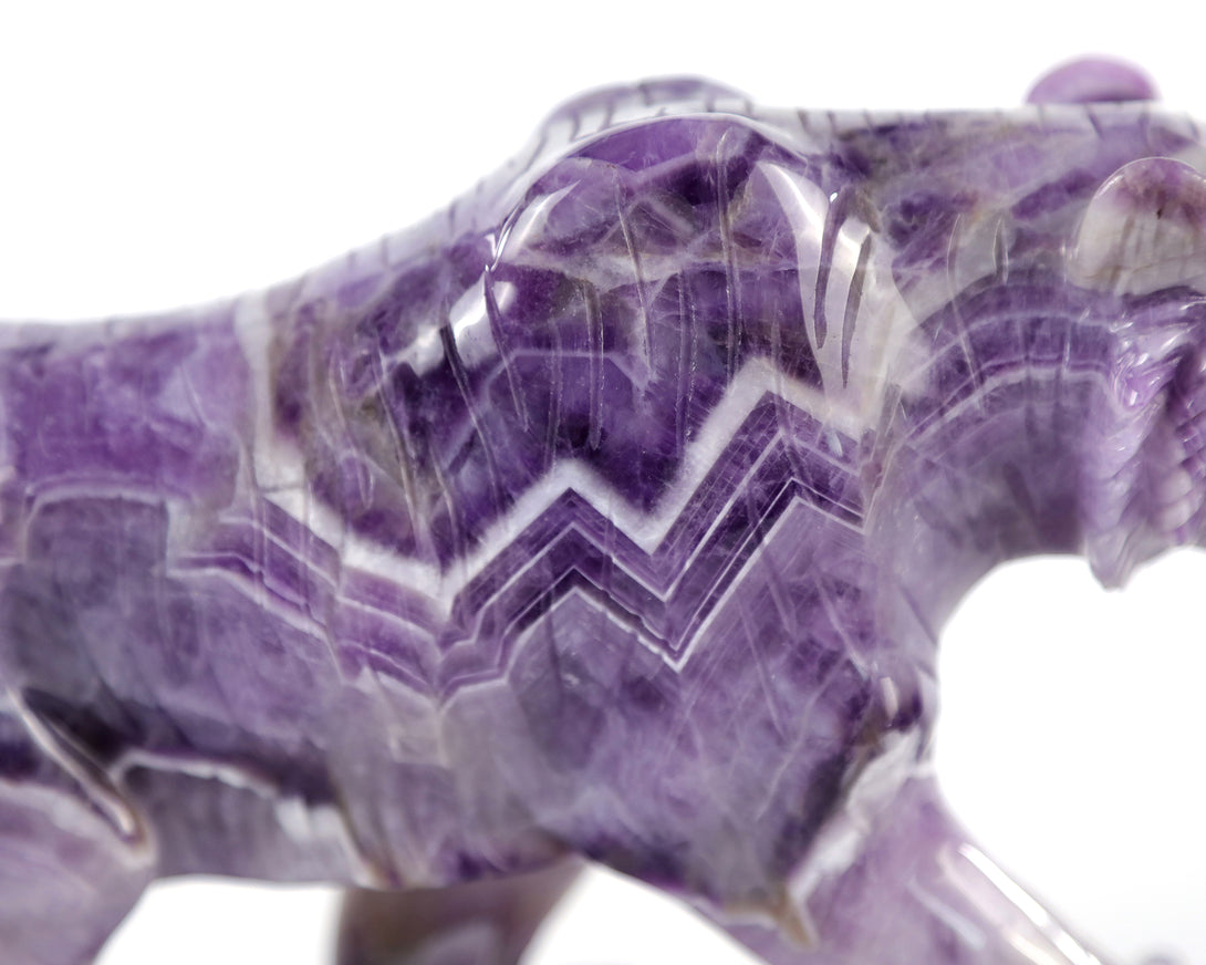 Amazing 8.9" Dream Amethyst Hand Carved Crystal Tiger Sculpture crysvibe