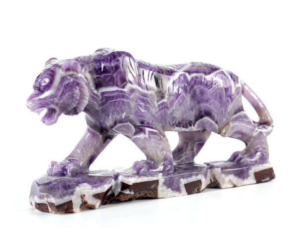 Amazing 8.9" Dream Amethyst Hand Carved Crystal Tiger Sculpture crysvibe