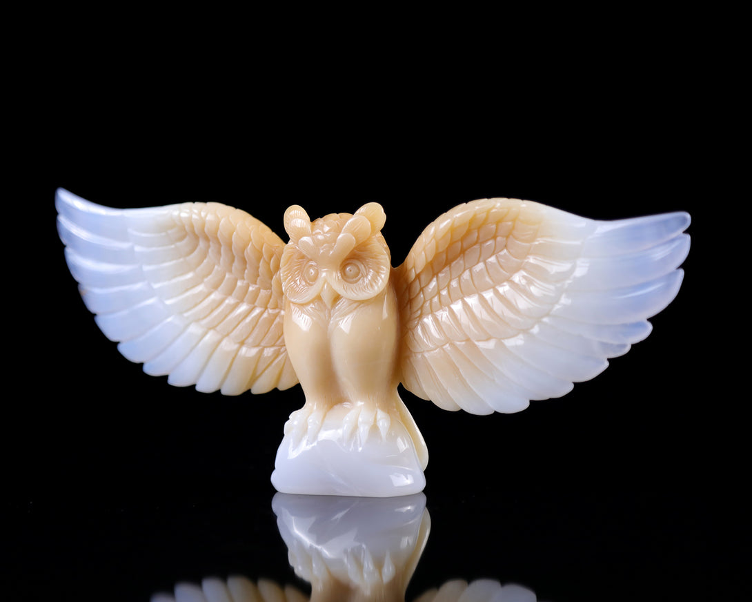 Amazing 9.3" Blue Chalcedony Hand Carved Crystal Owl Sculpture crysvibe