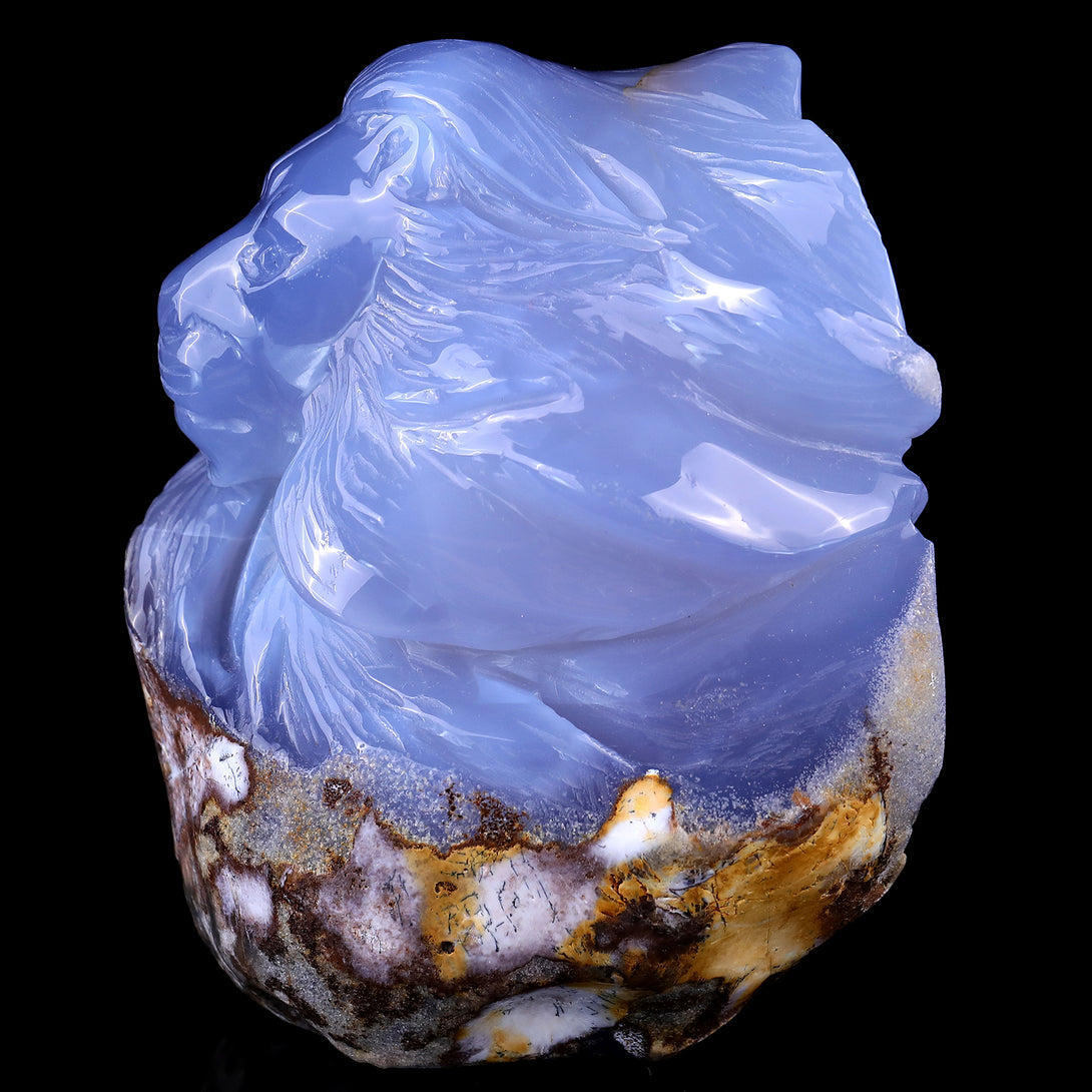 Amazing Gemstone 6.1" Blue Chalcedony Hand Carved Crystal Lion Head Sculpture crysvibe