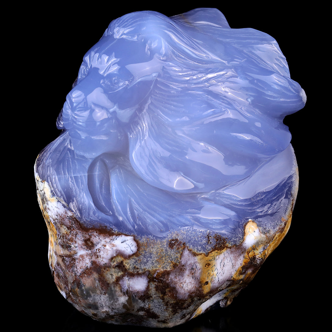 Amazing Gemstone 6.1" Blue Chalcedony Hand Carved Crystal Lion Head Sculpture crysvibe