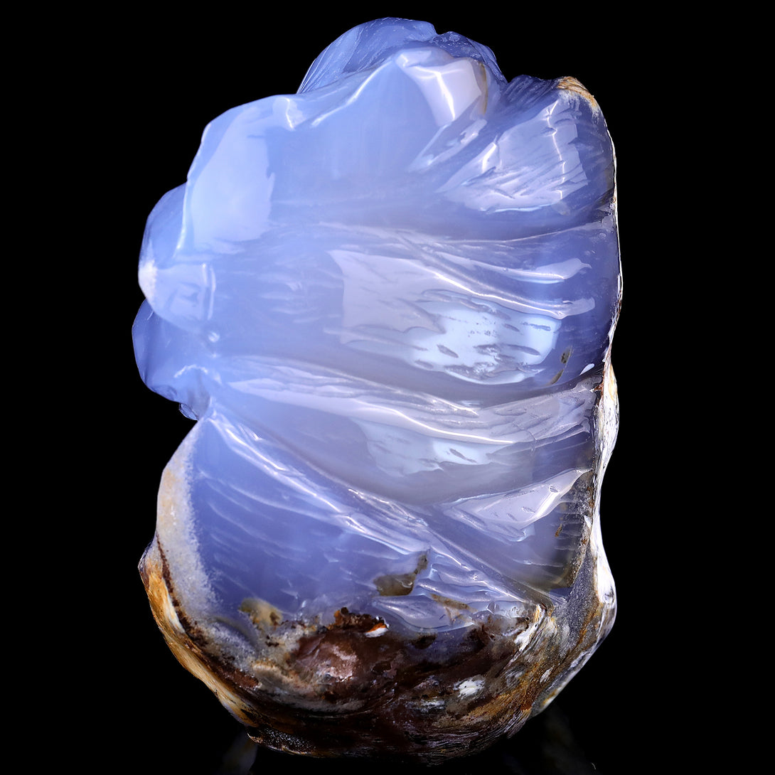 Amazing Gemstone 6.1" Blue Chalcedony Hand Carved Crystal Lion Head Sculpture crysvibe