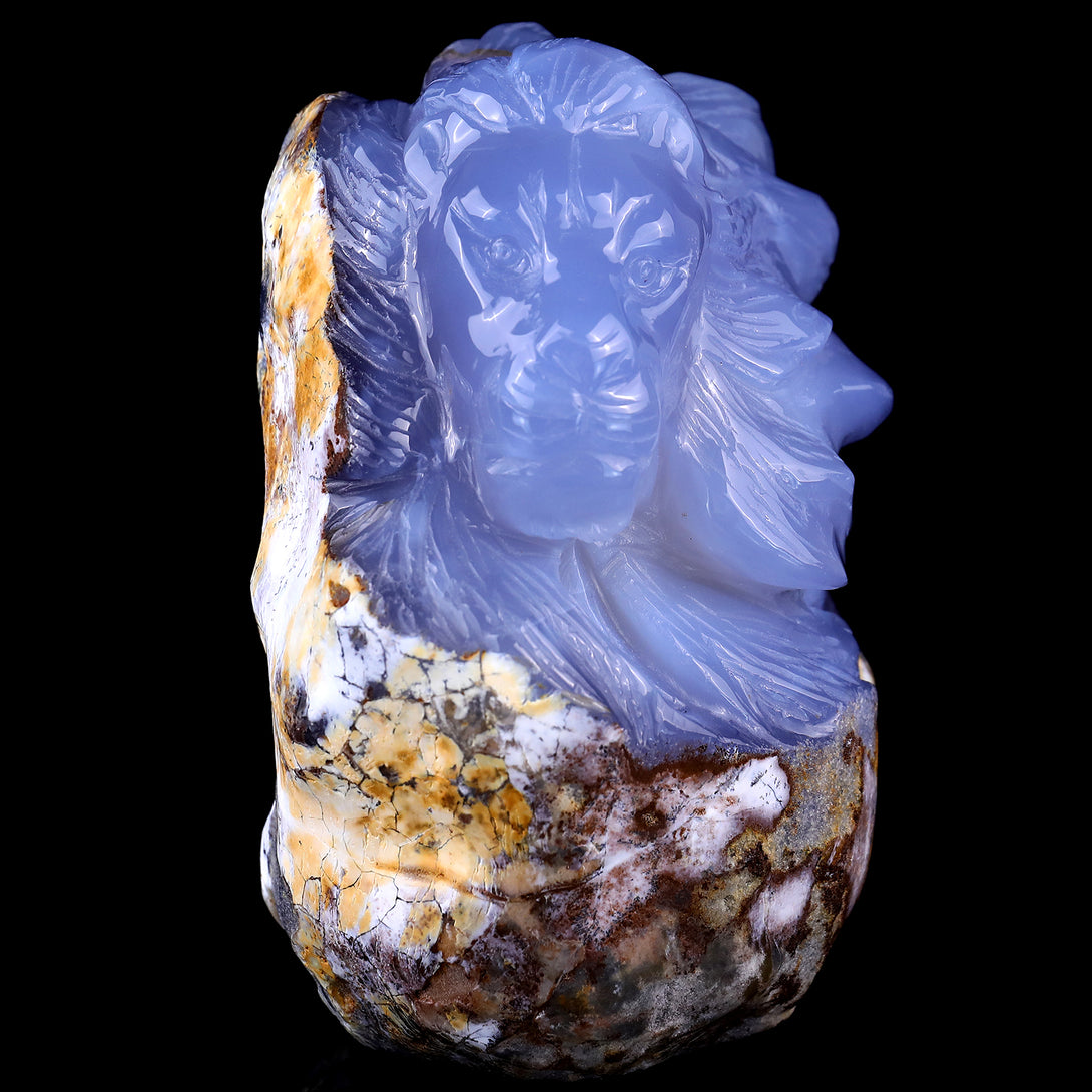 Amazing Gemstone 6.1" Blue Chalcedony Hand Carved Crystal Lion Head Sculpture crysvibe