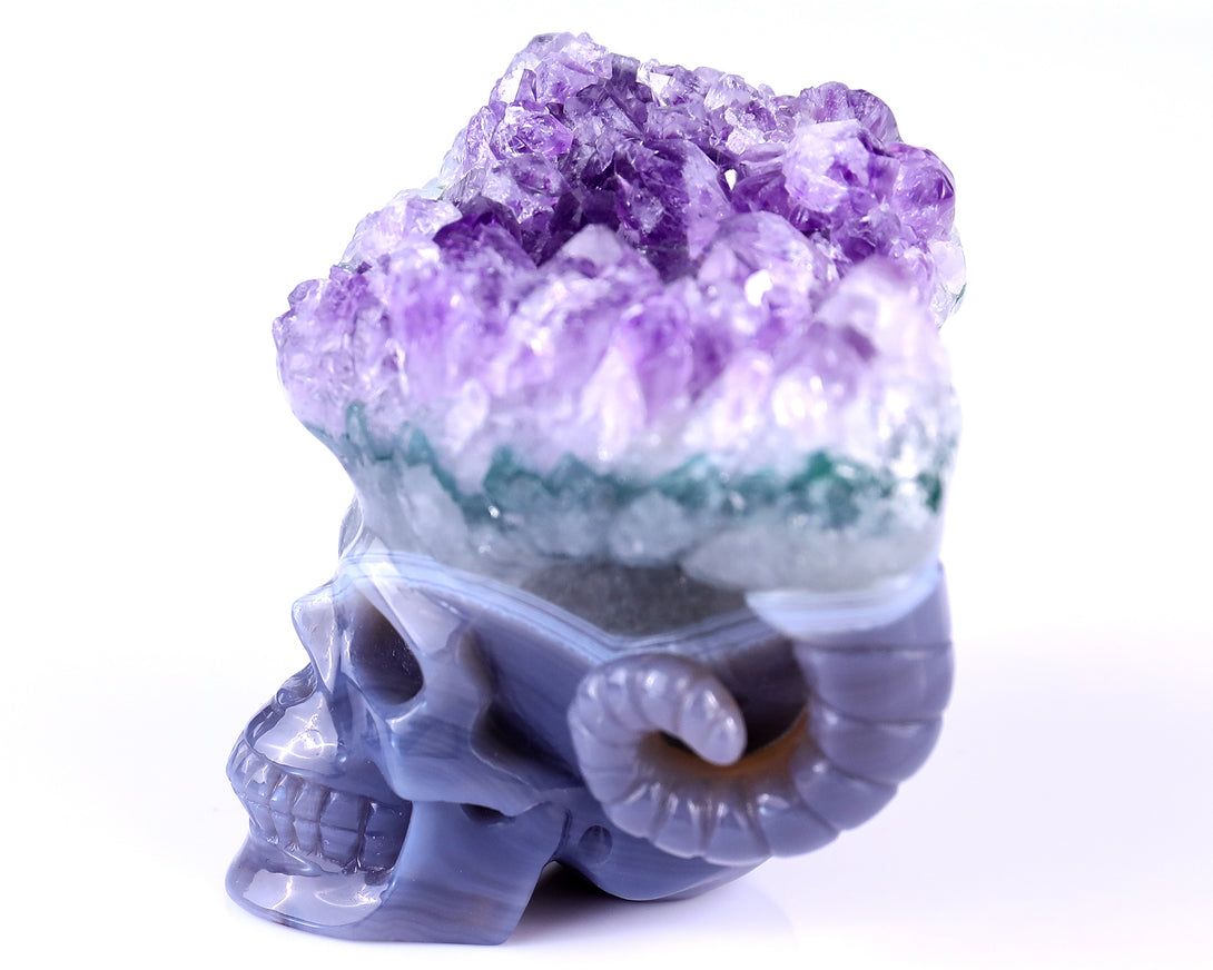 Unique 2.9" Amethyst Druse Agate Hand Carved Mineral Specimen Skull with Horn Sculpture crysvibe