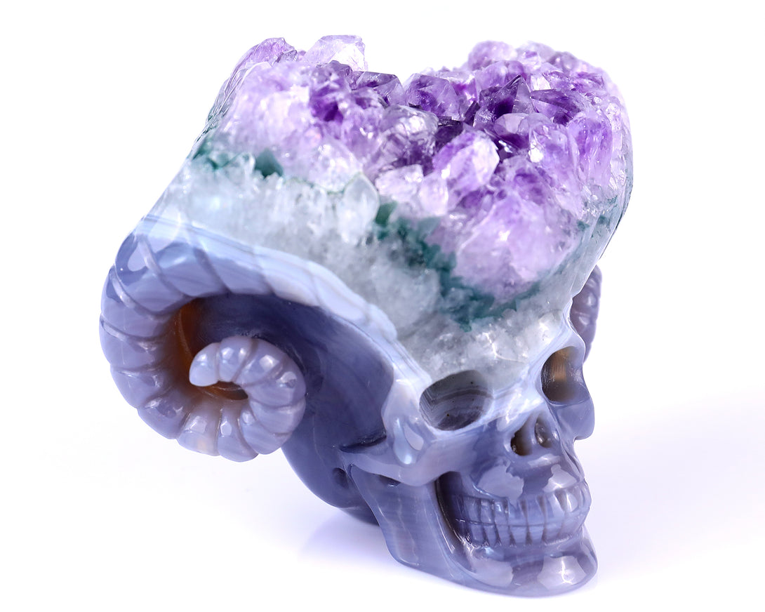 Unique 2.9" Amethyst Druse Agate Hand Carved Mineral Specimen Skull with Horn Sculpture crysvibe