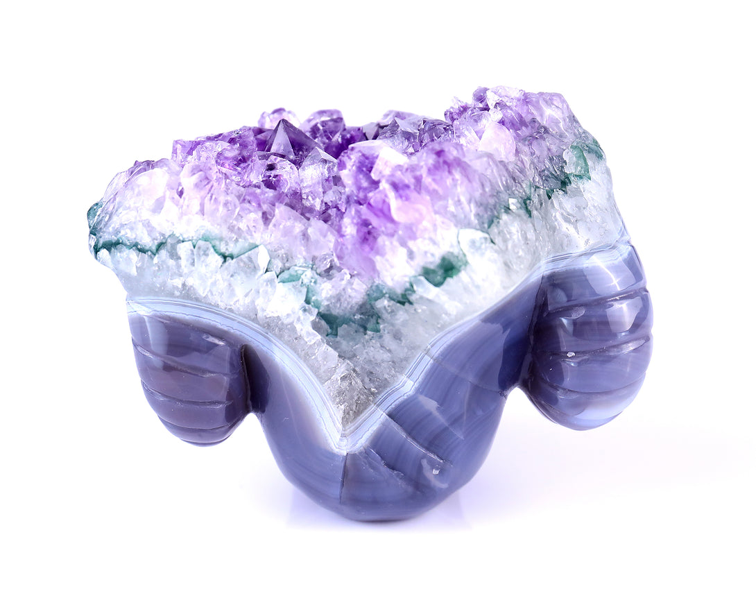 Unique 2.9" Amethyst Druse Agate Hand Carved Mineral Specimen Skull with Horn Sculpture crysvibe