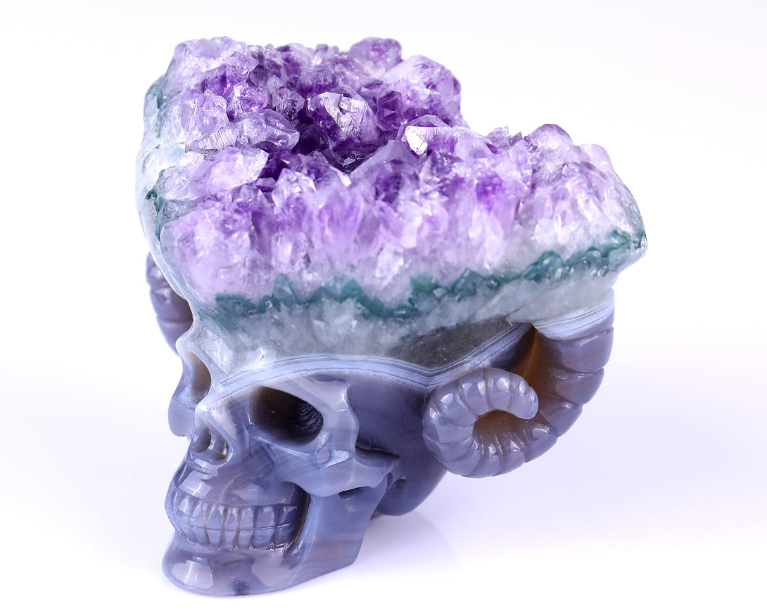 Unique 2.9" Amethyst Druse Agate Hand Carved Mineral Specimen Skull with Horn Sculpture crysvibe