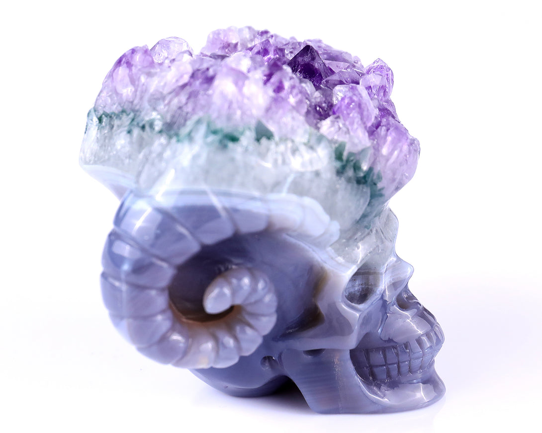 Unique 2.9" Amethyst Druse Agate Hand Carved Mineral Specimen Skull with Horn Sculpture crysvibe