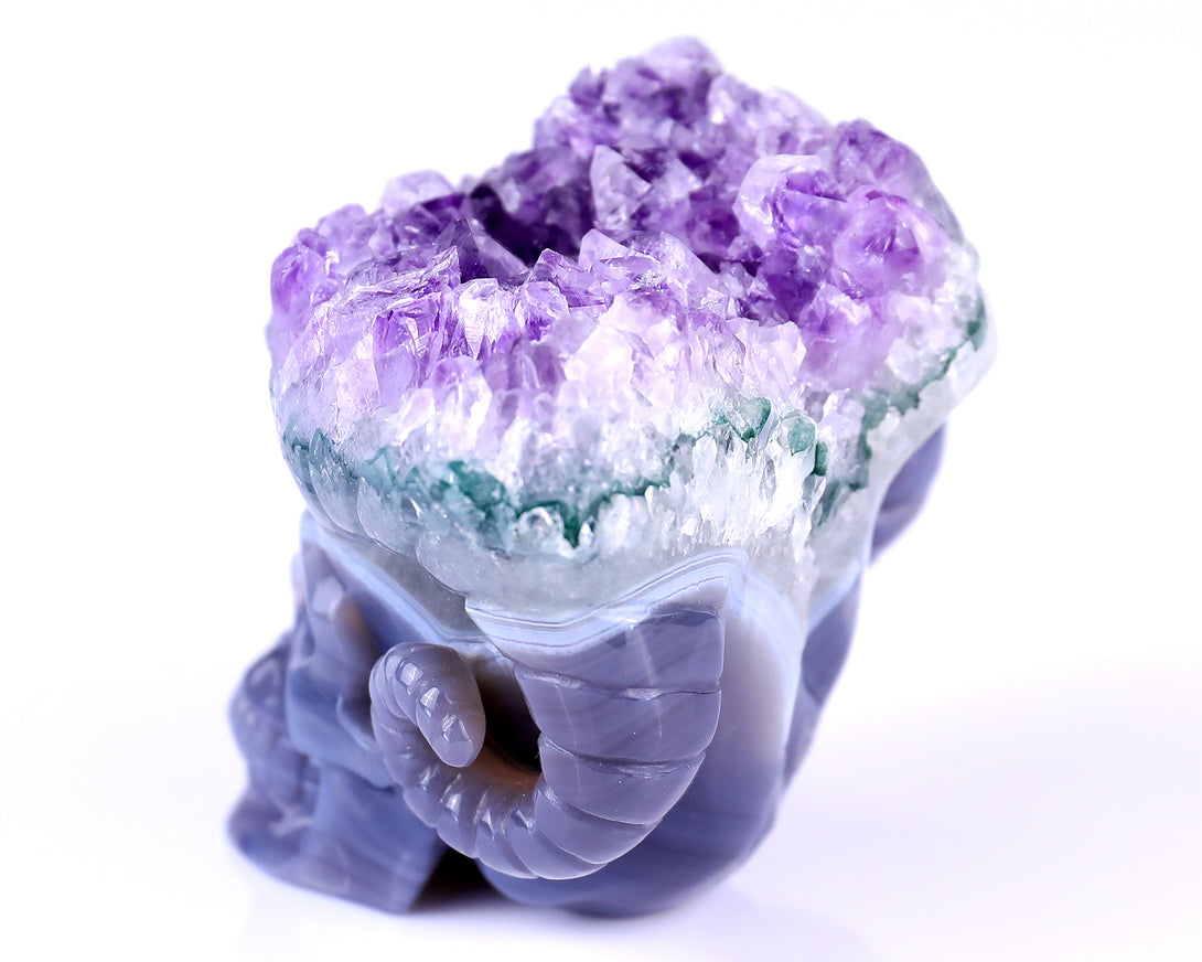 Unique 2.9" Amethyst Druse Agate Hand Carved Mineral Specimen Skull with Horn Sculpture crysvibe