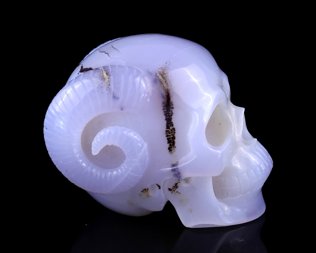 Unique 3.9" Blue Chalcedony Hand Carved Crystal Realistic Skull and Horn Sculpture crysvibe