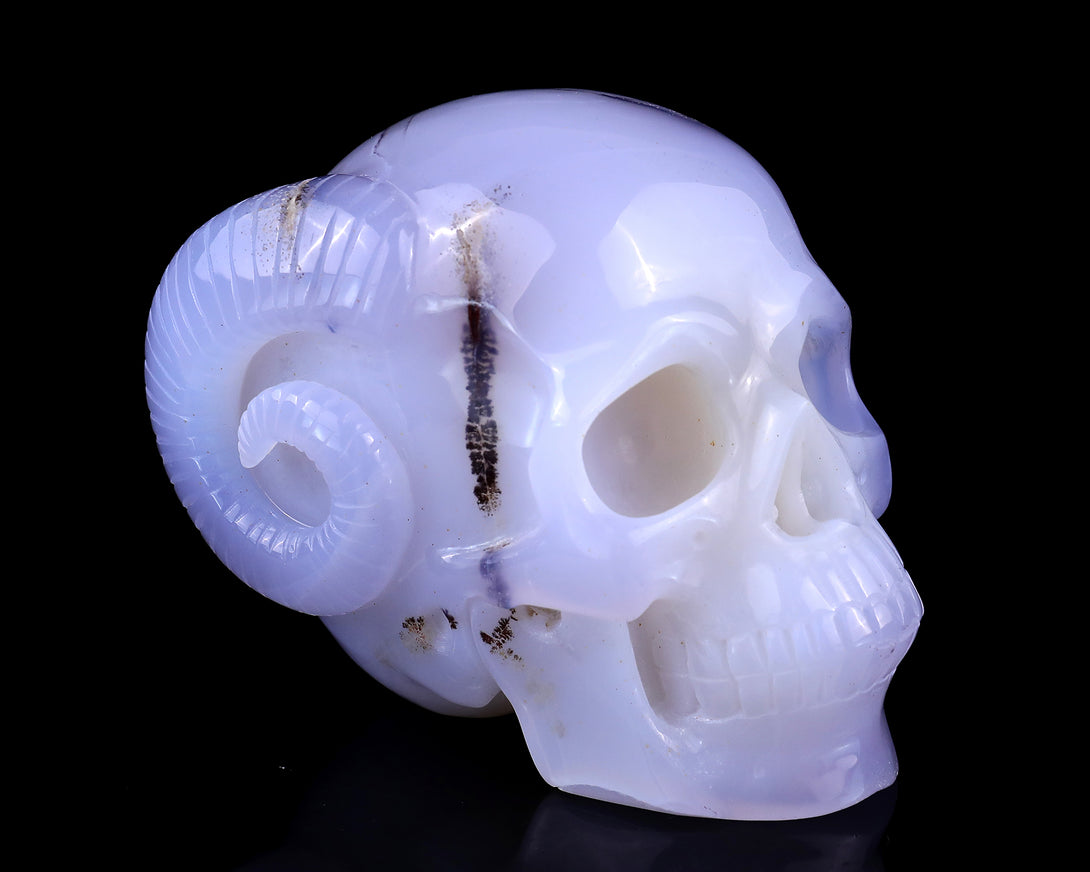 Unique 3.9" Blue Chalcedony Hand Carved Crystal Realistic Skull and Horn Sculpture crysvibe