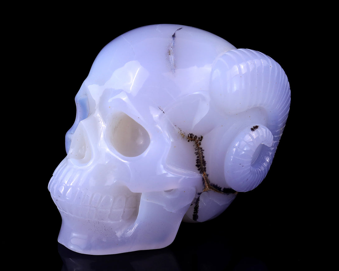 Unique 3.9" Blue Chalcedony Hand Carved Crystal Realistic Skull and Horn Sculpture crysvibe