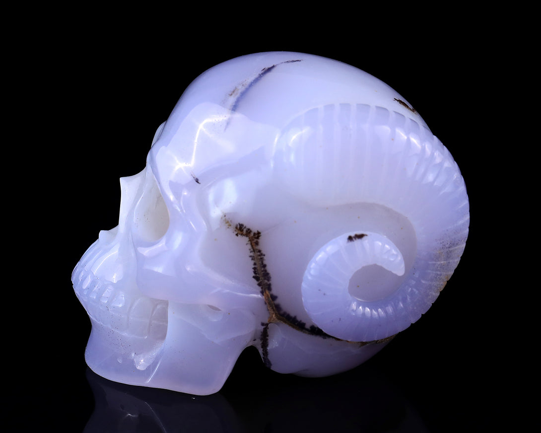 Unique 3.9" Blue Chalcedony Hand Carved Crystal Realistic Skull and Horn Sculpture crysvibe