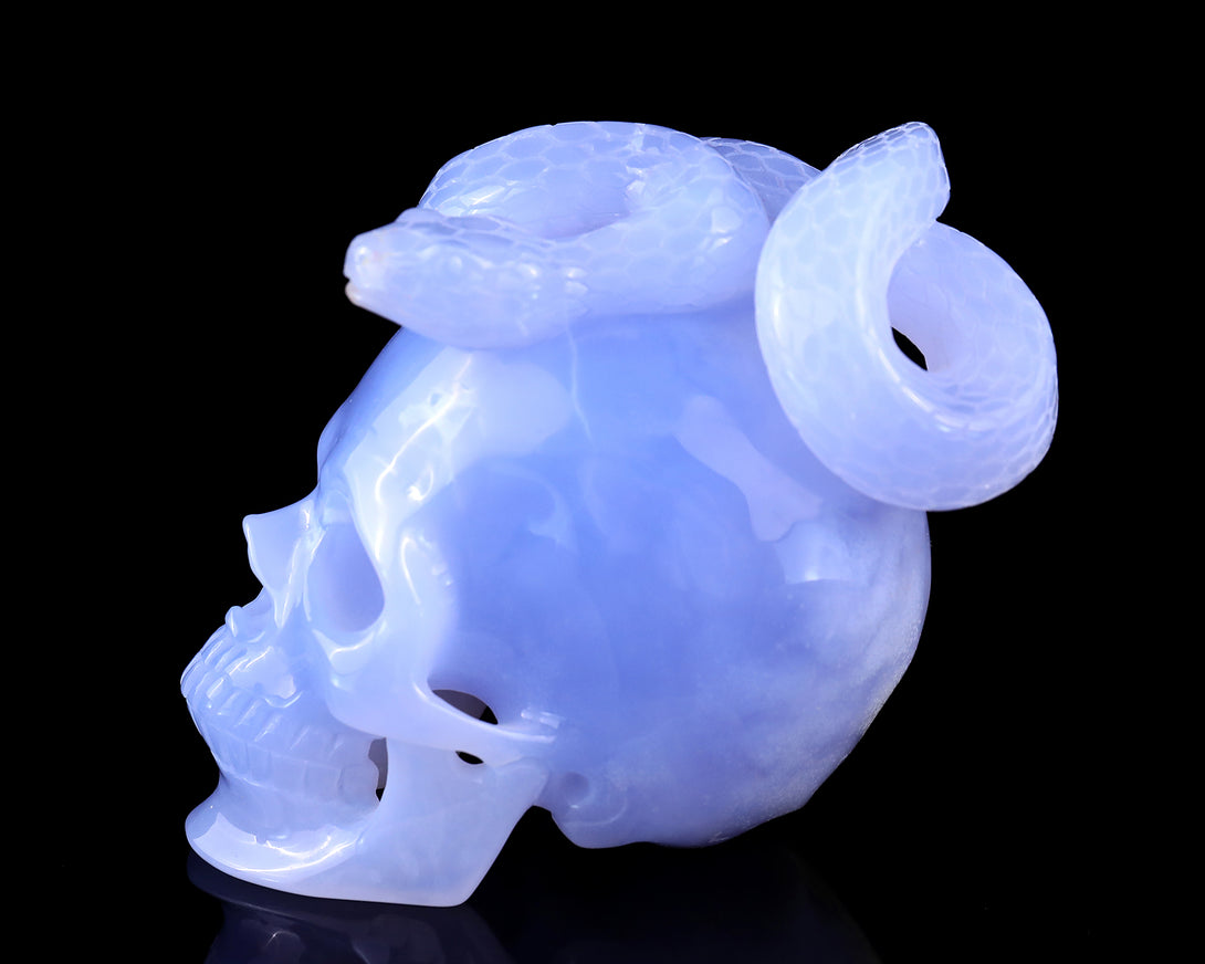 Unique 4.5" Blue Chalcedony Hand Carved Crystal Realistic Skull with Snake Sculpture crysvibe