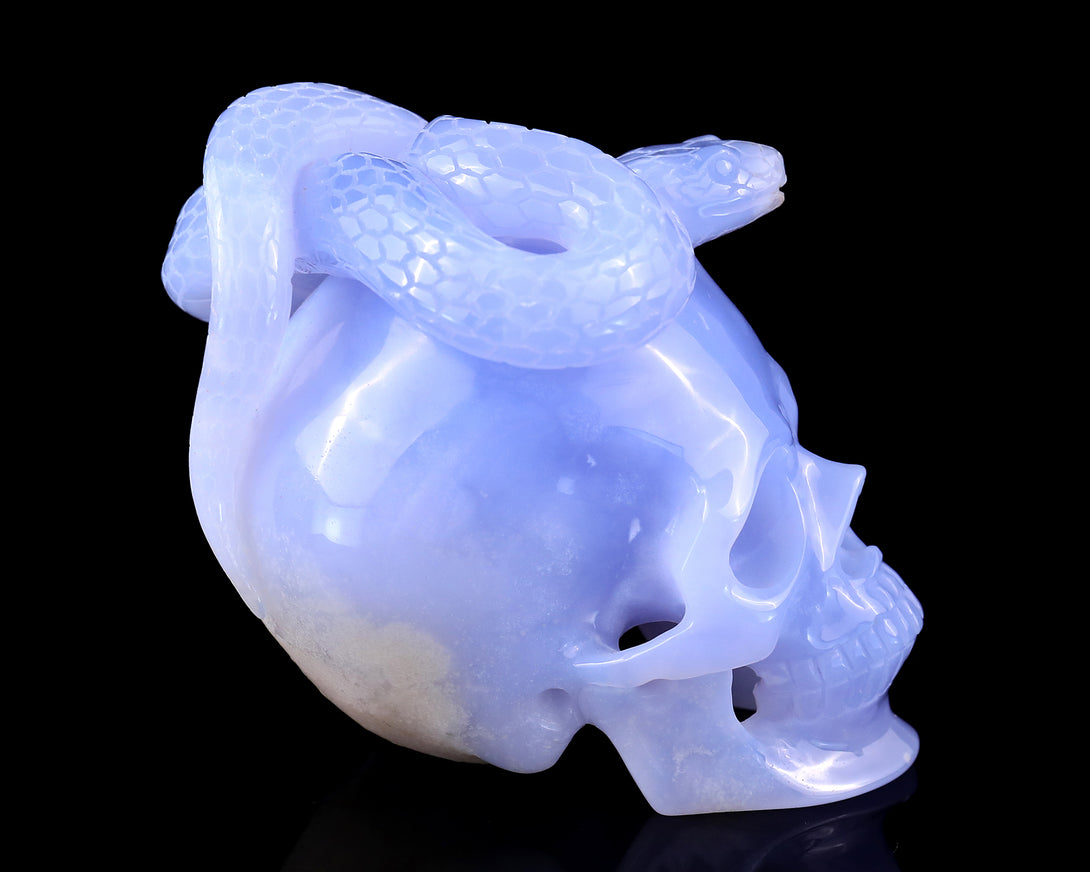 Unique 4.5" Blue Chalcedony Hand Carved Crystal Realistic Skull with Snake Sculpture crysvibe