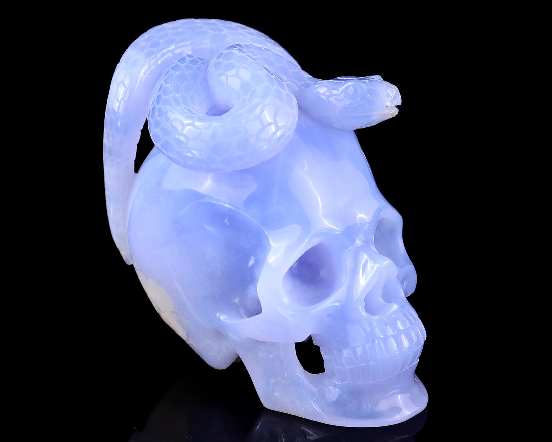 Unique 4.5" Blue Chalcedony Hand Carved Crystal Realistic Skull with Snake Sculpture crysvibe