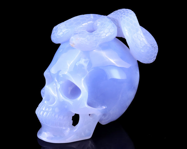 Unique 4.5" Blue Chalcedony Hand Carved Crystal Realistic Skull with Snake Sculpture crysvibe