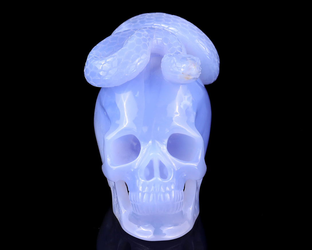 Unique 4.5" Blue Chalcedony Hand Carved Crystal Realistic Skull with Snake Sculpture crysvibe