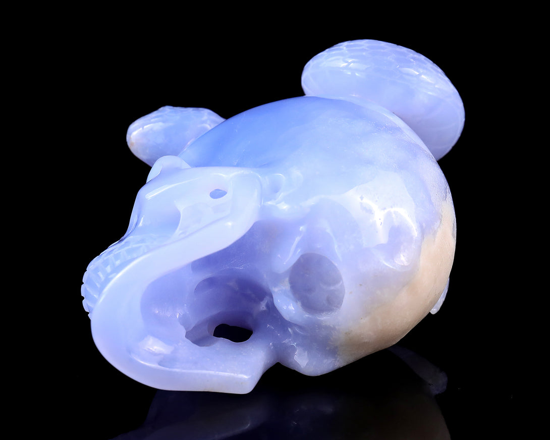 Unique 4.5" Blue Chalcedony Hand Carved Crystal Realistic Skull with Snake Sculpture crysvibe