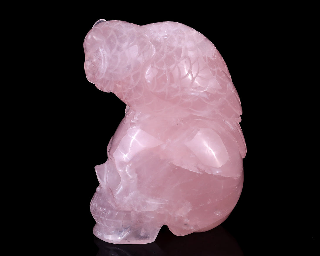 Unique 5.5" Rose Quartz Hand Carved Crystal Realistic Skull with Owl Sculpture crysvibe