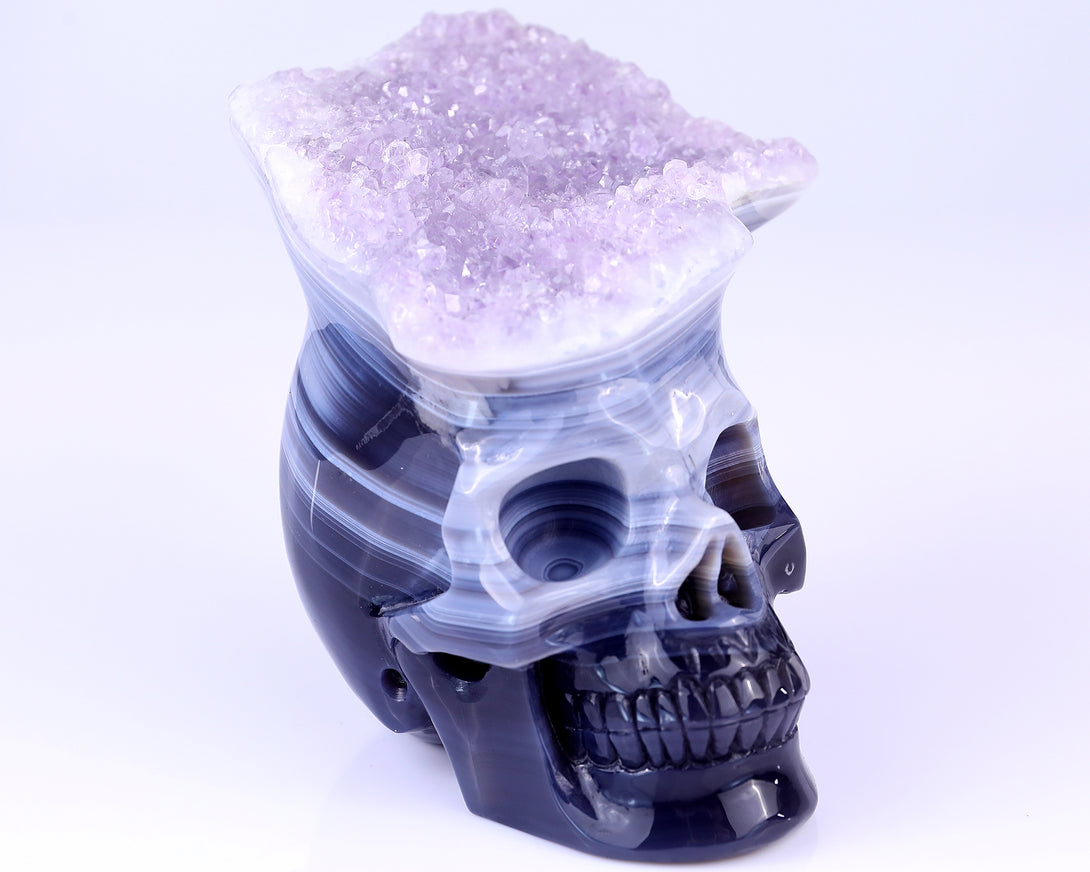 Unique 6.3" Amethyst Druse Agate Hand Carved Crystal Mineral Specimen Skull Sculpture crysvibe