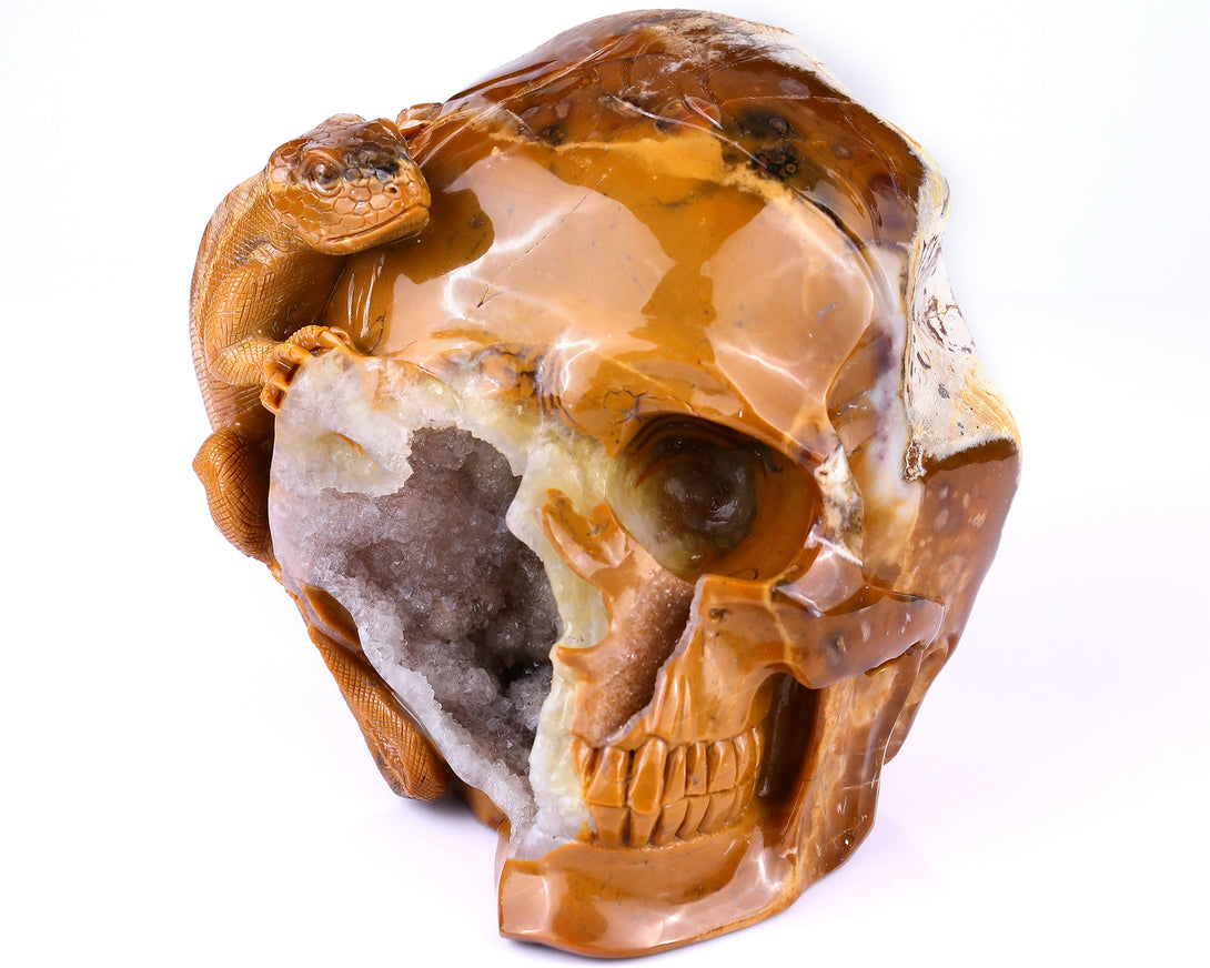 Unique 7.9" Chalcedony Hand Carved Crystal Geode Skull with Lizard Sculpture crysvibe