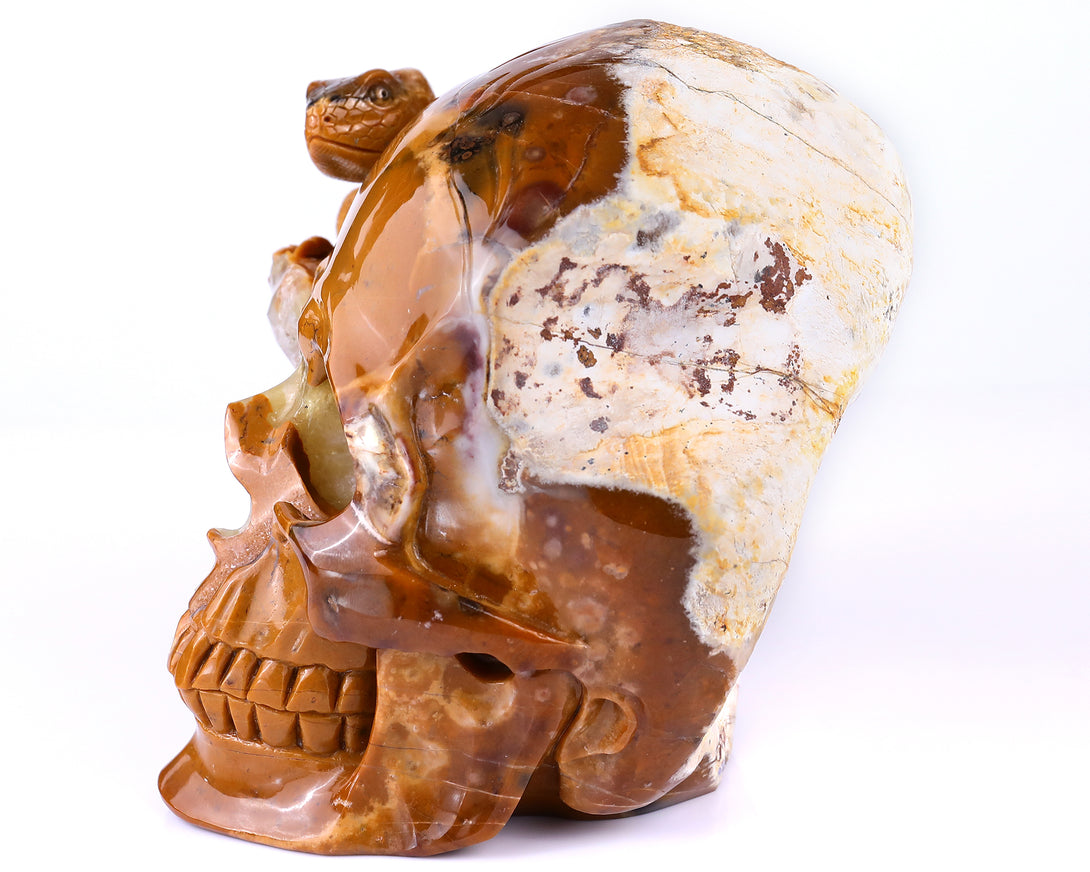 Unique 7.9" Chalcedony Hand Carved Crystal Geode Skull with Lizard Sculpture crysvibe