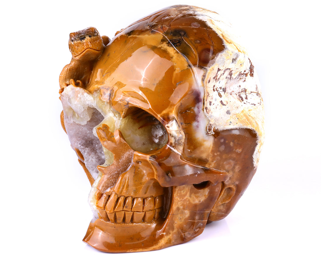 Unique 7.9" Chalcedony Hand Carved Crystal Geode Skull with Lizard Sculpture crysvibe